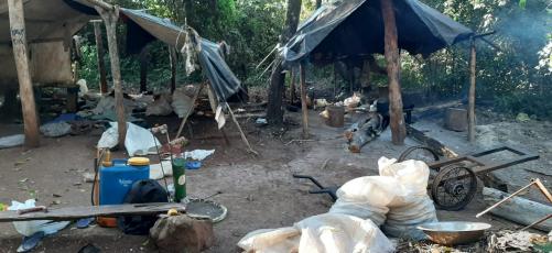 Capitán Bado: Destruyeron 16 campamentos narcos y más de 3 mil kilos de droga